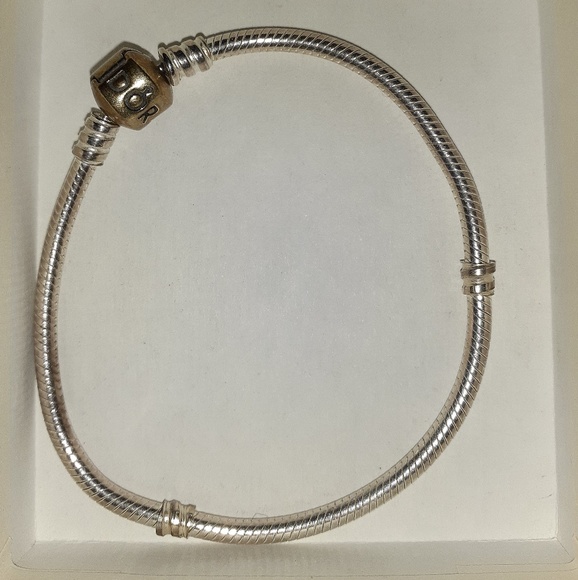 Pandora Charm Bracelet - Picture 1 of 2